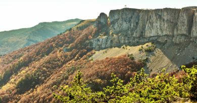 Достопримечательность Крымский природный заповедник