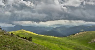 Царская охота. Крымский природный заповедник — фото 4