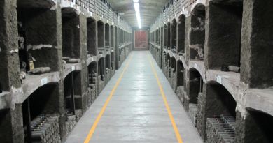 Винодельческий комбинат «Массандра» — фото 4
