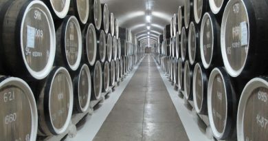ТОП-5. Массандровский дворец и винзавод Массандра - фото 12