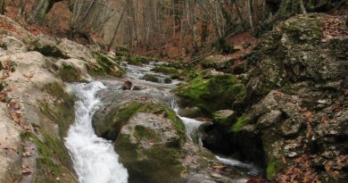 Большой Каньон Крыма — фото 6