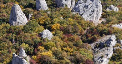 Достопримечательность Храм Солнца, «Крымский Стоунхендж»